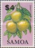 Grapefruit (Citrus paradisi)