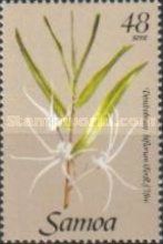 Dendrobium biflorum