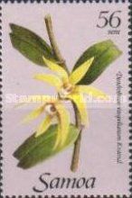 Dendrobium vaupelianum