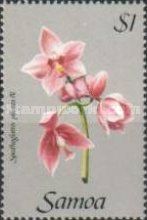 Spathoglottis plicata