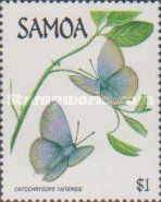 Lycaenid Butterfly (Catochrysops taitensis)