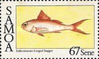 Longtail Snapper (Etelis coruscans)
