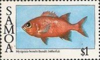 Berndt's Soldierfish (Myripristis berndti)