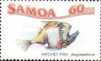 Pacific Hatchetfish (Argyropelecus affinis)