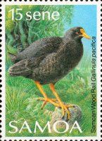 Samoan Wood Rail (Gallinula pacifica)