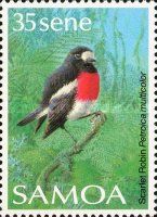 Scarlet Robin (Petroica multicolor)