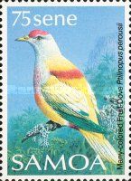 Many-coloured Fruit-dove (Ptilinopus perousii)