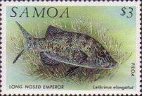 Long Nosed Emperor (Lethrinus elongatus)