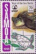 Leatherback turtle (Dermochelys coriacea)