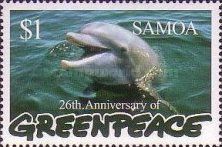 Dolphin