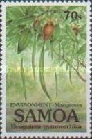 Bruguiera gymnorrhiza