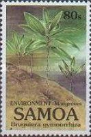 Bruguiera gymnorrhiza