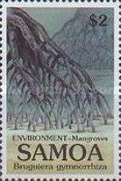 Bruguiera gymnorrhiza