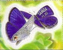Dark Cerulean (Jamides bochus)