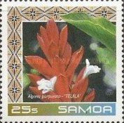 Alpinia purpurata "Teuila"