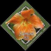 Hibiscus rosa-sinensis