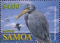 Pacific Reef Heron (Egretta sacra sacra)