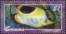 Saddle Butterflyfish (Chaetodon ephippium)