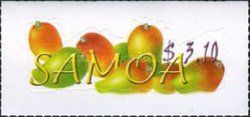 Mango (Mangifera indica)