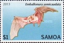 Pacific Sheath-Tailed Bat (Emballonura semicaudata)