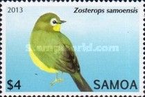 Samoan White-eye (Zosterops samoensis)