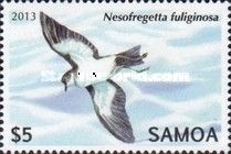 Polynesian Storm-Petrel (Nesofregetta fuliginosa)