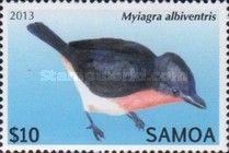 Samoan Flycatcher (Myiagra albiventris)