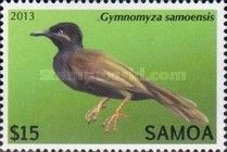 Mao (Gymnomyza samoensis)