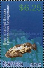 Brown-marbled Grouper (Epinephelus fuscoguttatus)