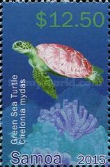 Green Sea Turtle (Chelonia mydas)