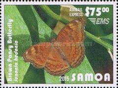 Brown Pansy Butterfly (Junonia hedonia)
