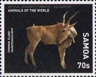 Common Eland (Taurotragus oryx)