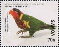 Ornate Lorikeet (Trichoglossus ornatus)