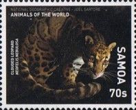Clouded Leopard (Neofelis nebulosa)