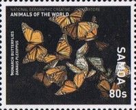 Monarch Butterfly (Danaus plexippus)