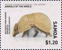Southern Three-banded Armadillo (Tolypeutes matacus)