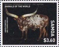 Ankole Watusi (Bos taurus watusi)