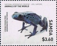 Dyeing Poison Frog (Dendrobates tinctorius)