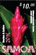 Bromeliad
