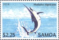 Makaira nigricans - Official