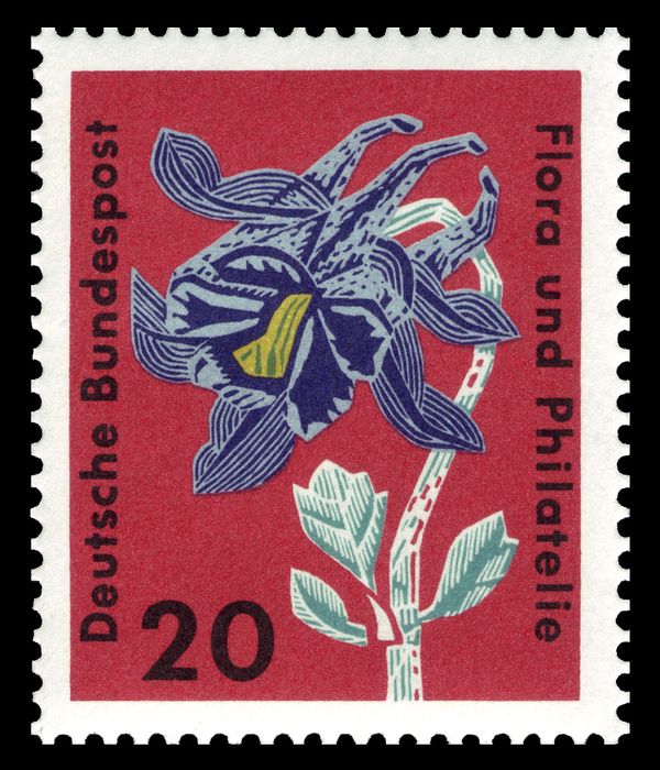 Columbine (Aquilegia coerulea)