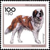 St. Bernard
