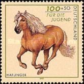 Haflinger Horse (Equus ferus caballus)