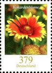 Firewheel (Gaillardia pulchella)