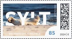 Seal on Beach, Sylt