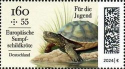 European Pond Turtle (Emys orbicularis)