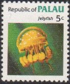 Spotted Jellyfish (Mastigias papua)