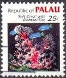 Soft Coral with Damsel Fish