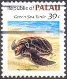 Green Sea Turtle