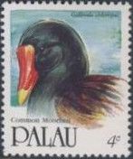 Common Moorhen (Gallinula chloropus)